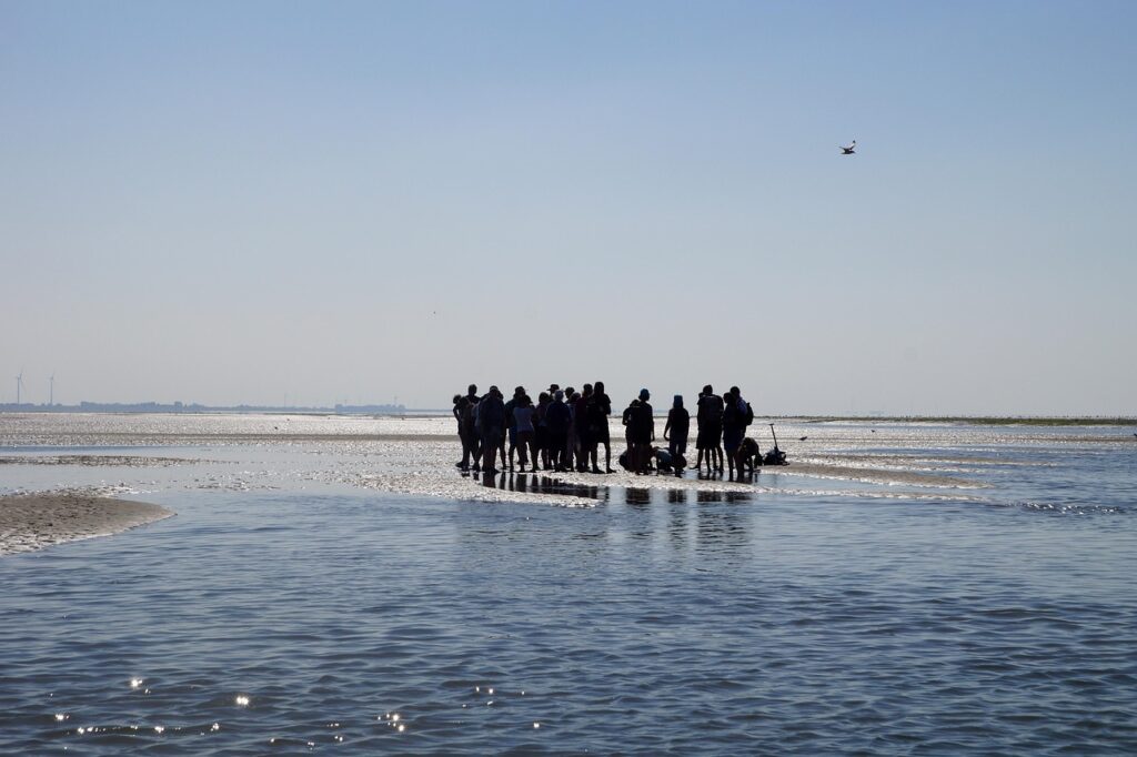 wadden sea, mudflat hiking, intertidal zone, mudflat hike, low water, north sea, sandwatt, watt area, the coastal area, islands